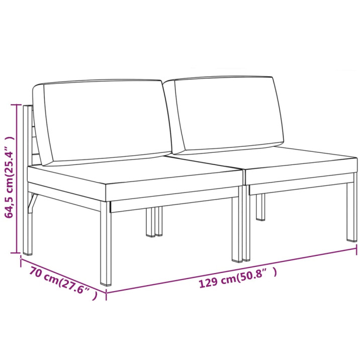 Dvivietė sodo sofa su pagalvėlėmis, antracito, aliuminis