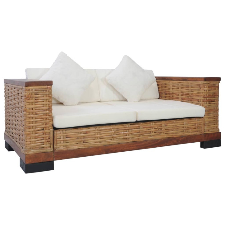 Dvivietė sofa su pagalvėlėmis, rudos sp., natūralus ratanas