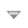 Baygon